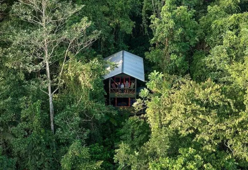 ホテル Yatama Ecolodge Sarapiqui