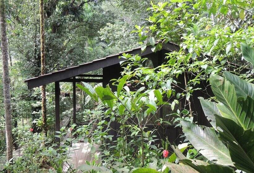 酒店 Yatama Ecolodge Sarapiqui