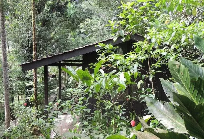 ホテル Yatama Ecolodge Sarapiqui