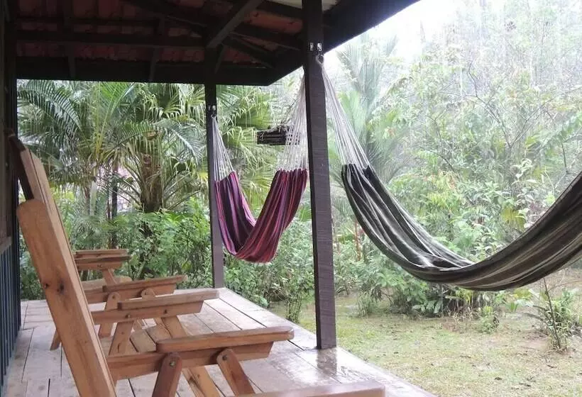 ホテル Yatama Ecolodge Sarapiqui