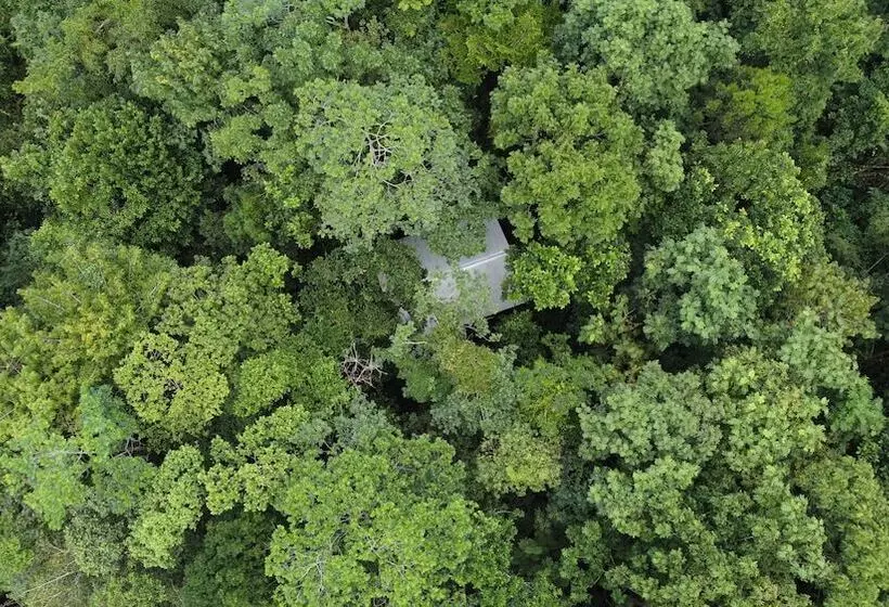 ホテル Yatama Ecolodge Sarapiqui