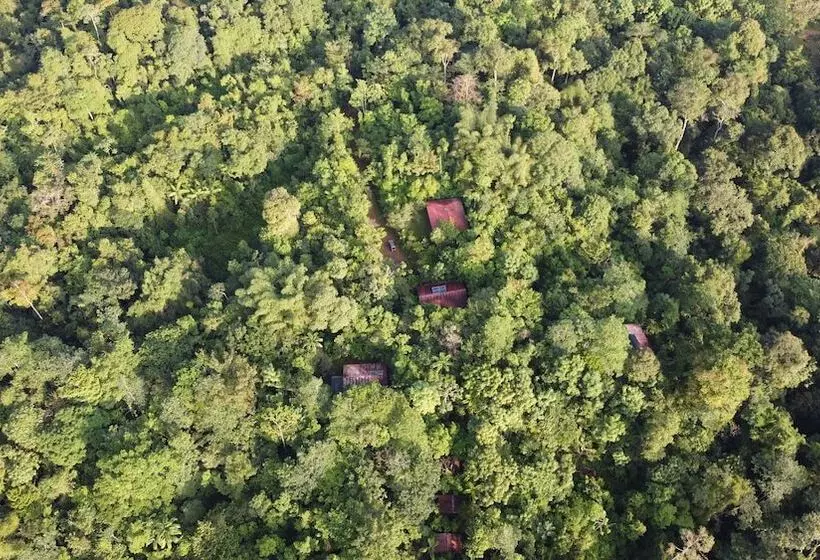 ホテル Yatama Ecolodge Sarapiqui