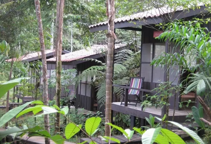 ホテル Yatama Ecolodge Sarapiqui