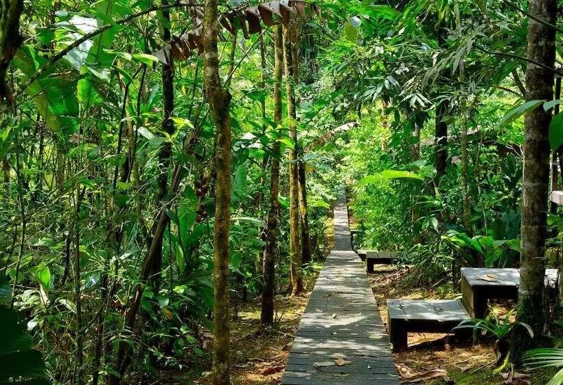 ホテル Yatama Ecolodge Sarapiqui