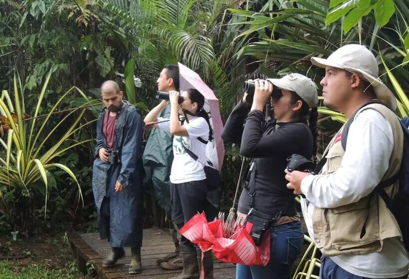 ホテル Yatama Ecolodge Sarapiqui