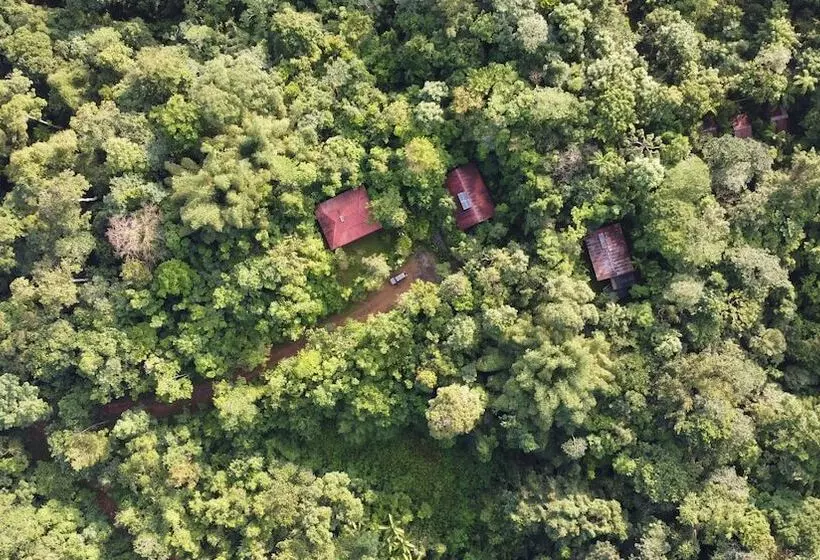 ホテル Yatama Ecolodge Sarapiqui
