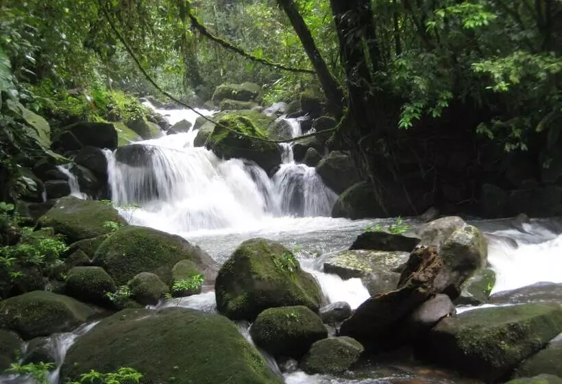 ホテル Yatama Ecolodge Sarapiqui