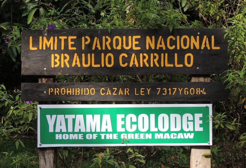 酒店 Yatama Ecolodge Sarapiqui