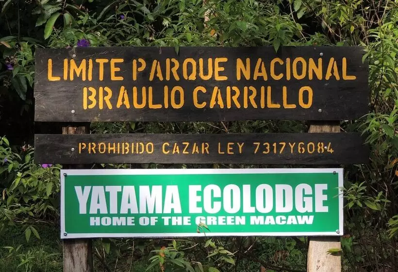 ホテル Yatama Ecolodge Sarapiqui