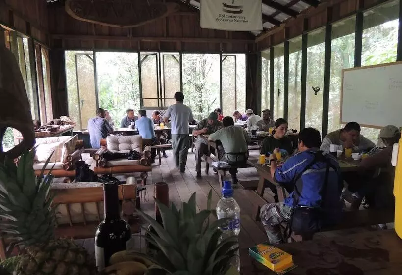 ホテル Yatama Ecolodge Sarapiqui