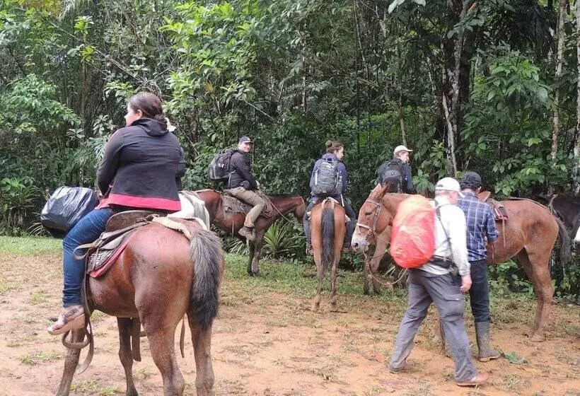 ホテル Yatama Ecolodge Sarapiqui
