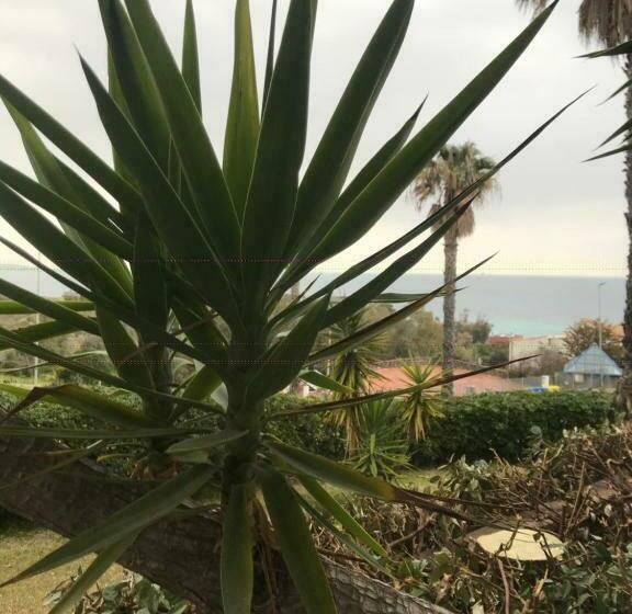 تختخواب و صبحانه Redhouse