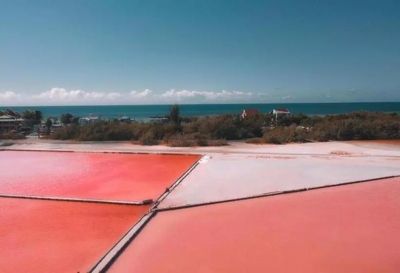 پانسیون Casamares Private Room Arena With Pool And Jacuzzi 5 Min To Boqueron And Beaches