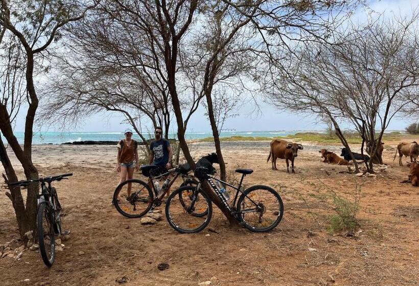 هاستل Quintal Do Maio