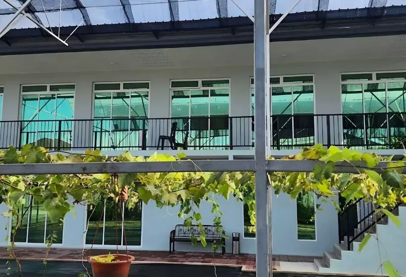 Hotelli Grapevine Garden