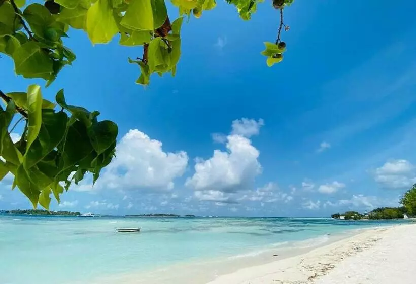 پانسیون Aloha Inn