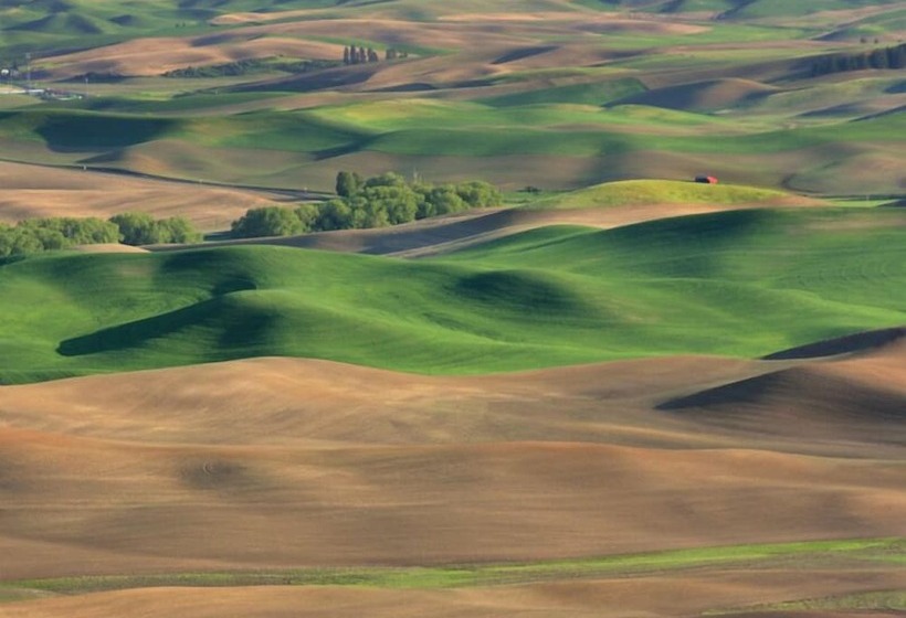 Siesta Motel Colfax Wa