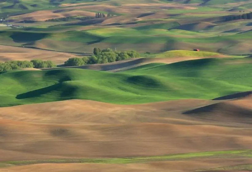 Siesta Motel Colfax Wa