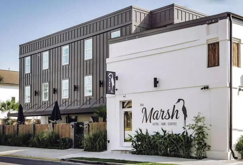هاستل Marsh