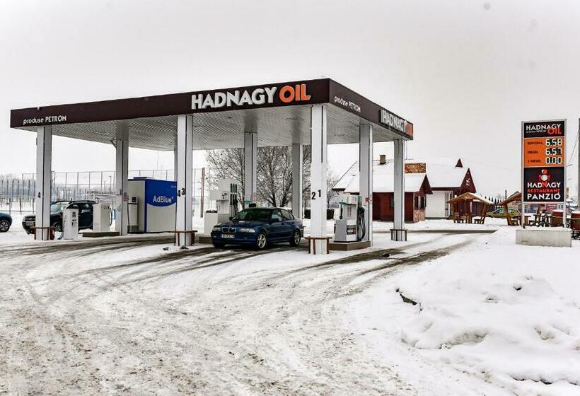 住宿加早餐  Hadnagy Panzió