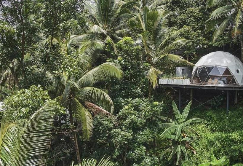 Lintang Luku Tent Resort