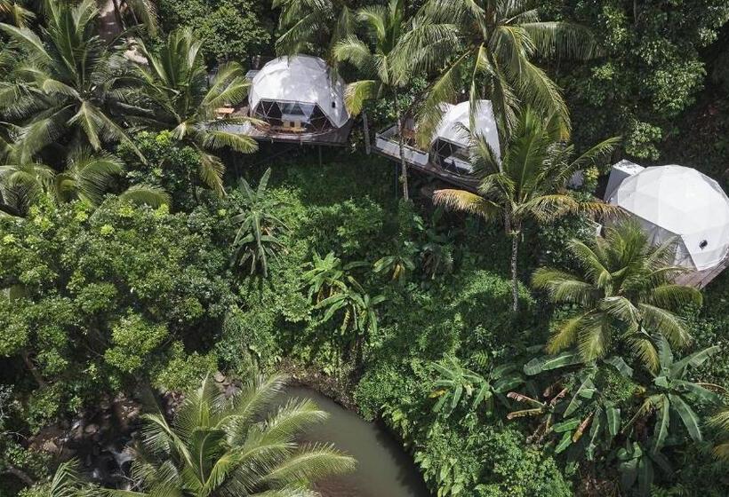 Lintang Luku Tent Resort