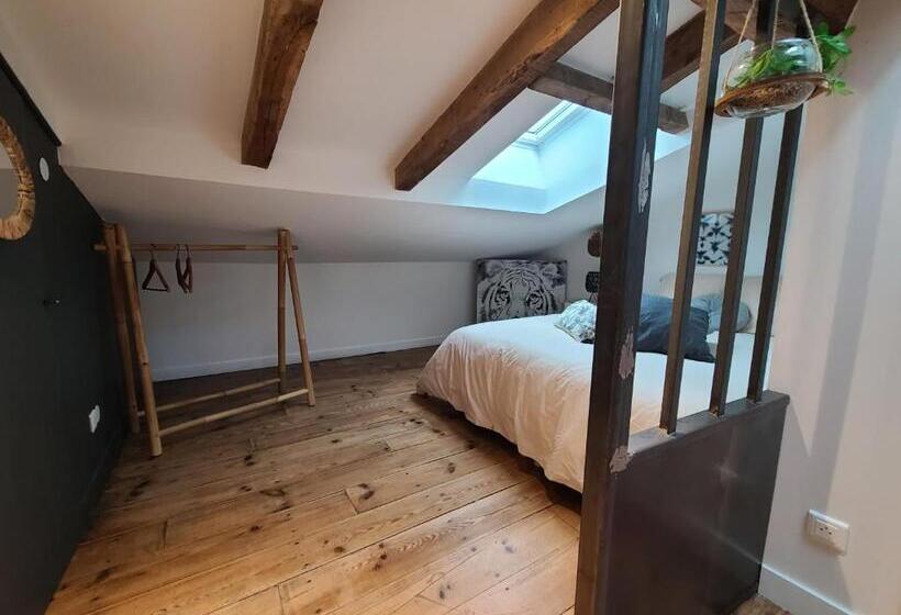 پانسیون Plan B