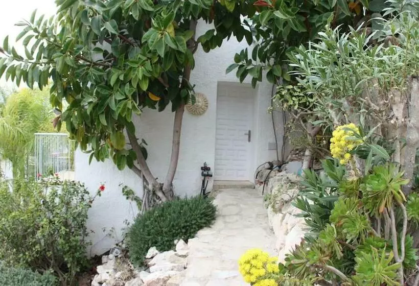پانسیون Terraza Al Mar