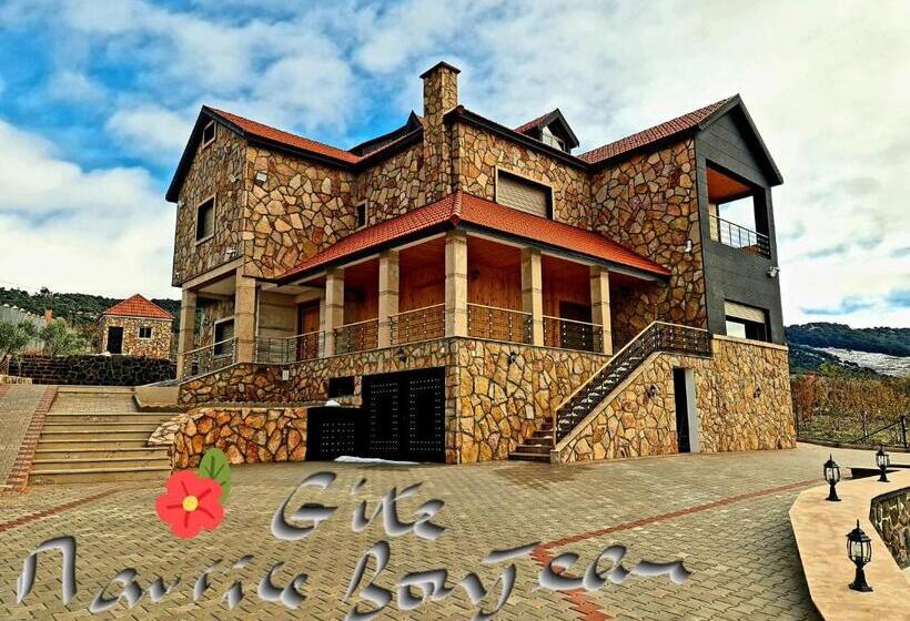 هاستل Maurice Bonjean