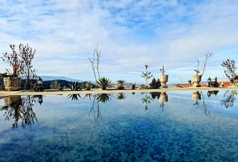 هاستل Maurice Bonjean