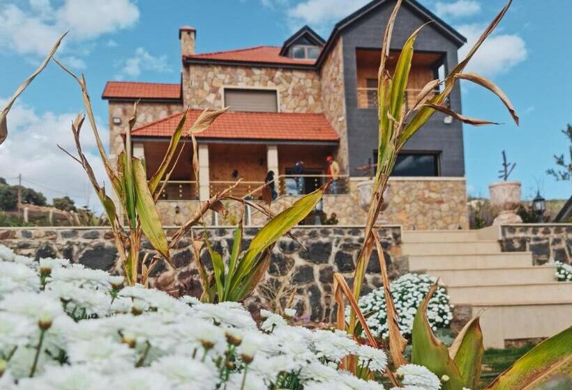 هاستل Maurice Bonjean