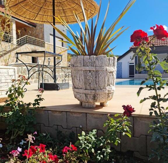 هاستل Maurice Bonjean