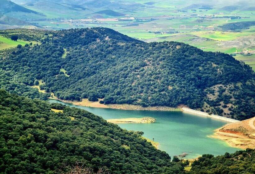 هاستل Maurice Bonjean