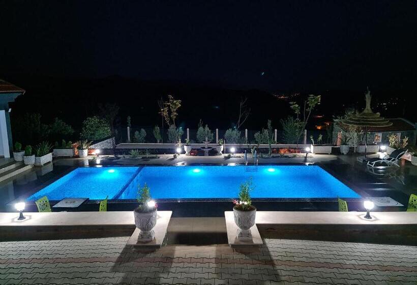 هاستل Maurice Bonjean