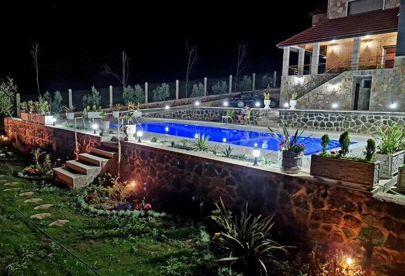 هاستل Maurice Bonjean