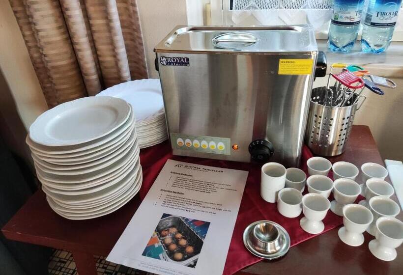 Austria Traveller Hotel Lenzing