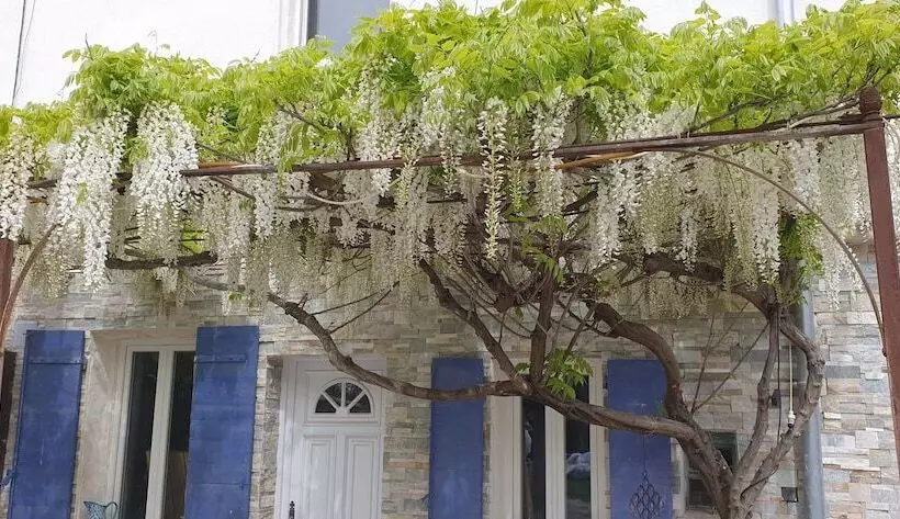 Aamiaismajoitus (B&B) Le Mas Cothy En Provence