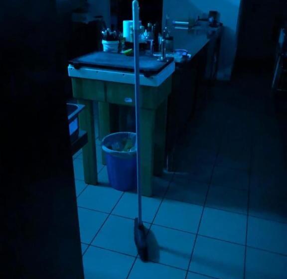 فندق Albergo Martina