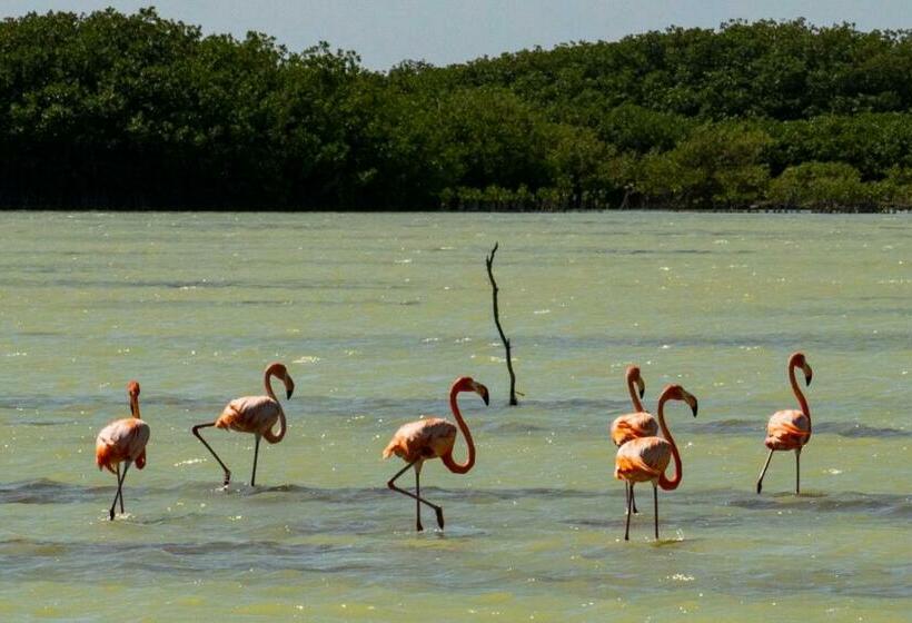 Hotelli El Aplatanao