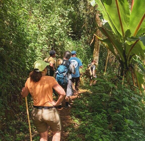 酒店 Foresight Eco Lodge & Safari