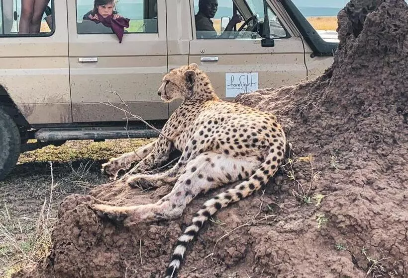 هتل Foresight Eco Lodge & Safari