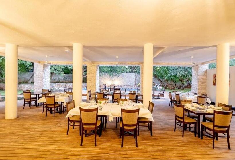 هتل Nkosi Guest Lodge