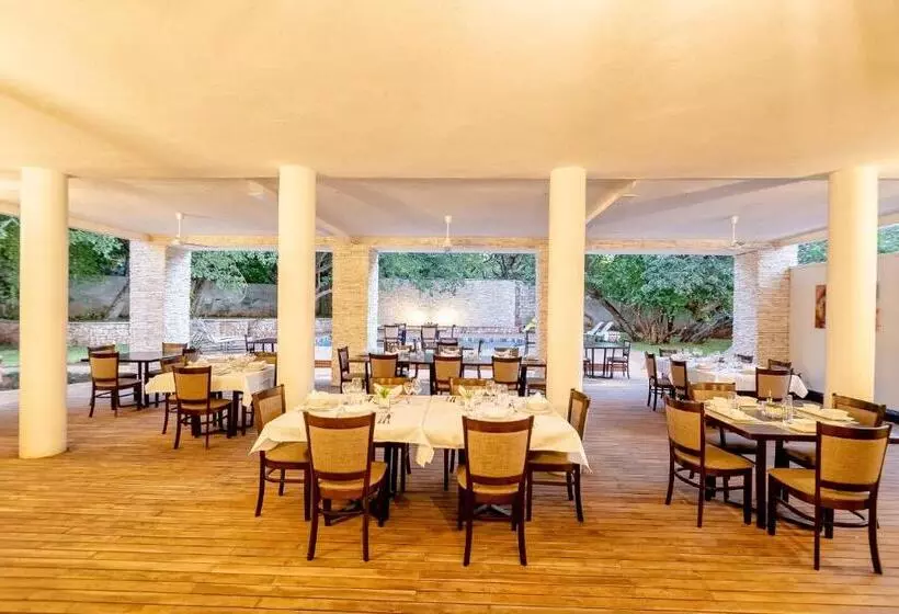 هتل Nkosi Guest Lodge