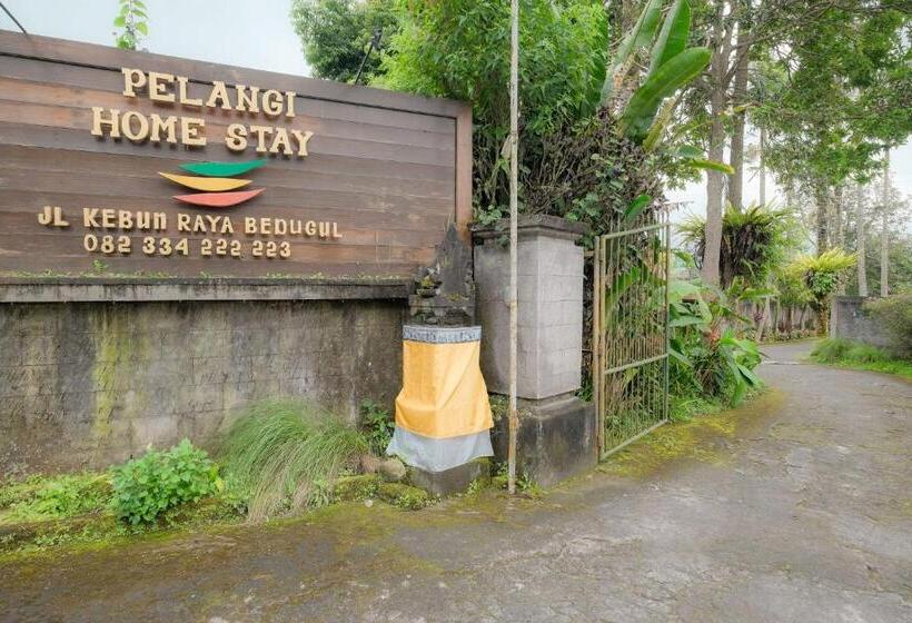 Отель Pelangi Homestay Bedugul Redpartner