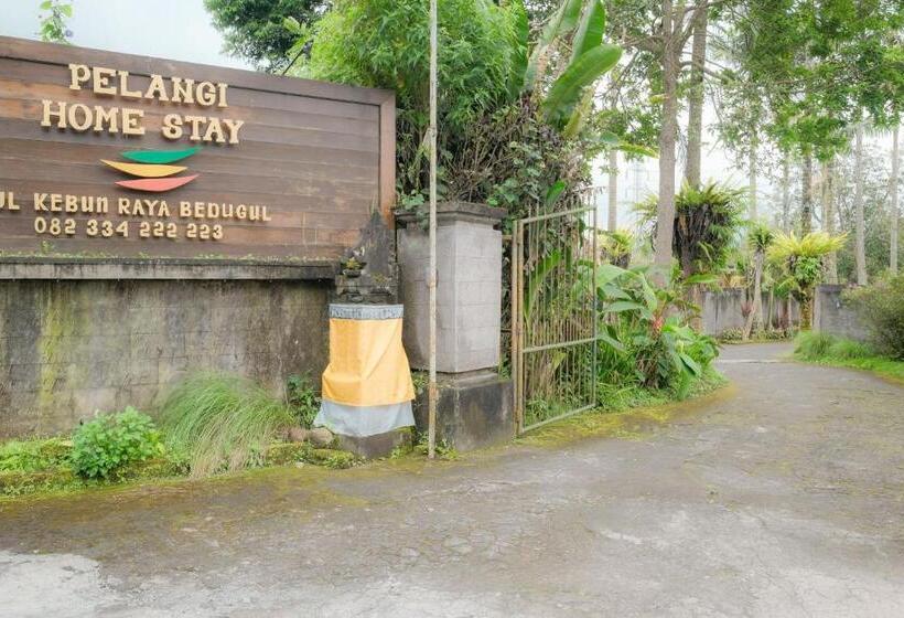 Отель Pelangi Homestay Bedugul Redpartner