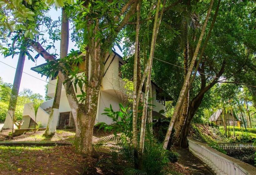 ホテル Sol Pintada