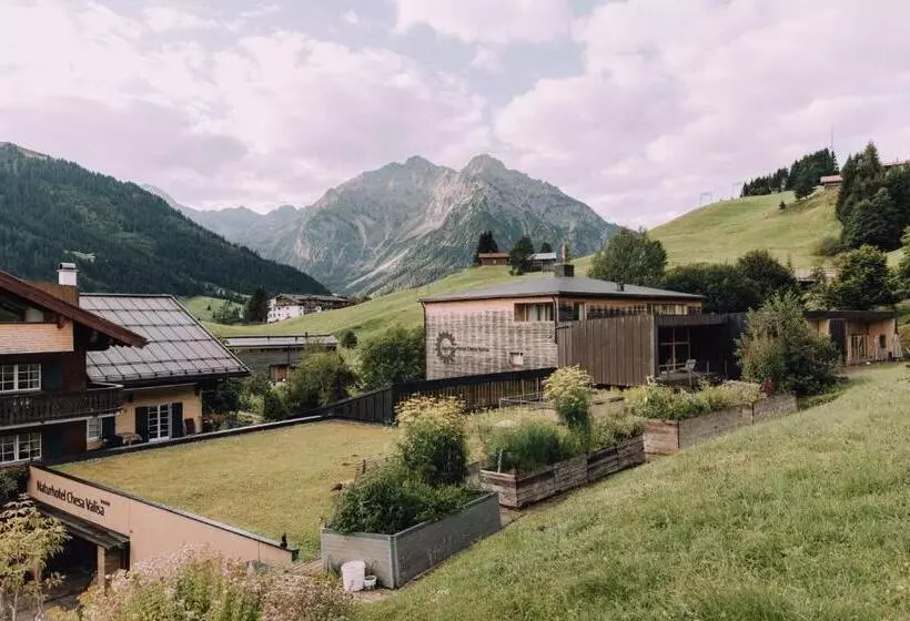 Naturhotel Chesa Valisa