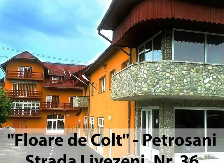פנסיון Floare De Colt Petrosani