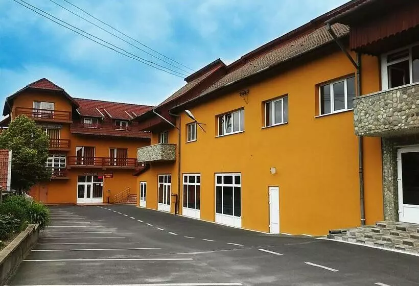 ペンション Floare De Colt Petrosani