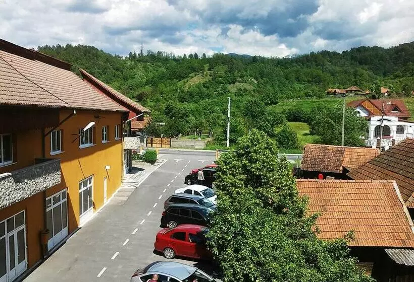 ペンション Floare De Colt Petrosani